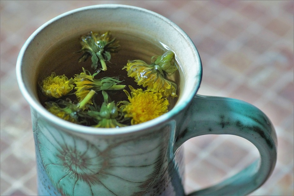 13 Health Benefits of Drinking Dandelion Tea