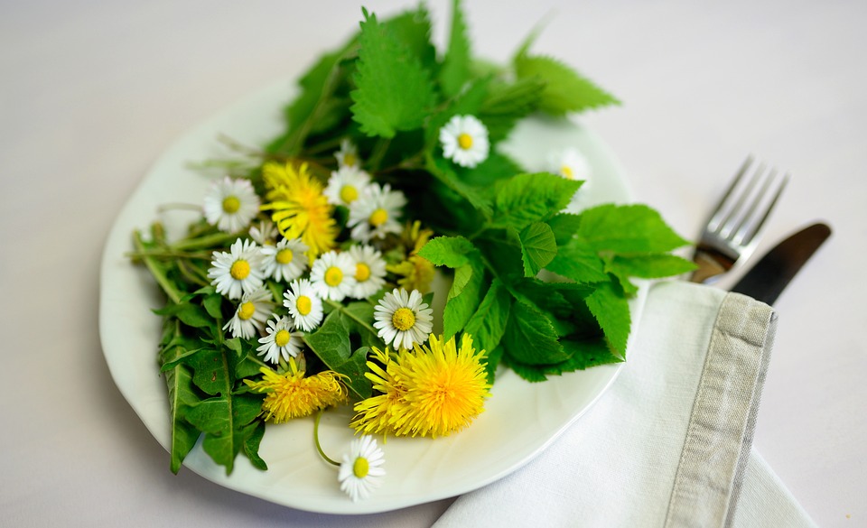 21 Edible Wild Plants With Extraordinary Health Benefits You Can Forage For