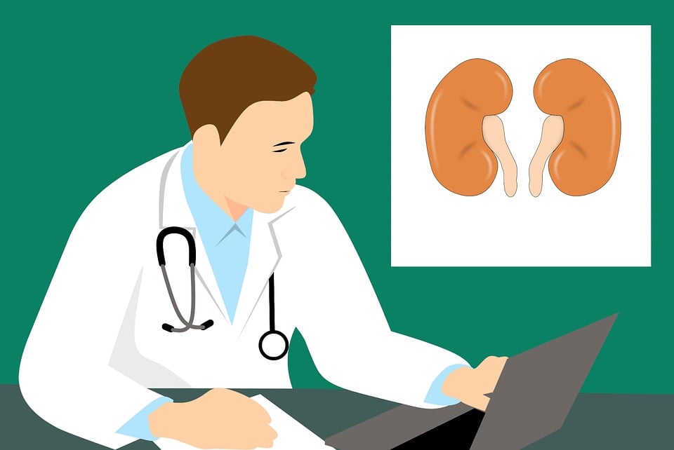 What Is Polycystic Kidney Disease?