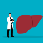 Free Liver Internal Medicine vector and picture