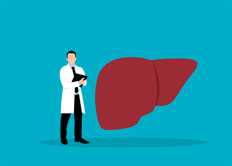 Liver Transplants – What You Need to Know