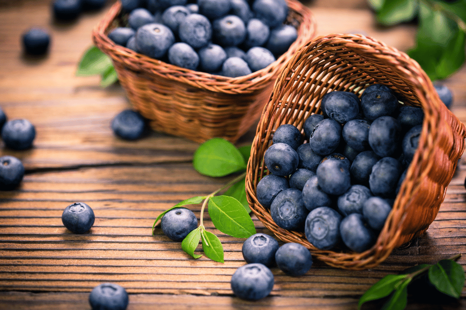 Benefits of Blueberries for Blood Pressure May Be Blocked by Yogurt