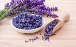Free Lavender Herbs photo and picture