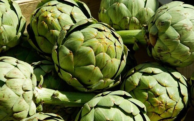 Free Artichokes Vegetables photo and picture