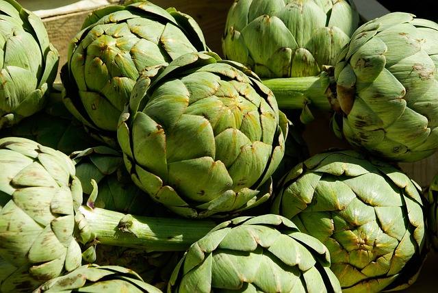 Artichoke Benefits