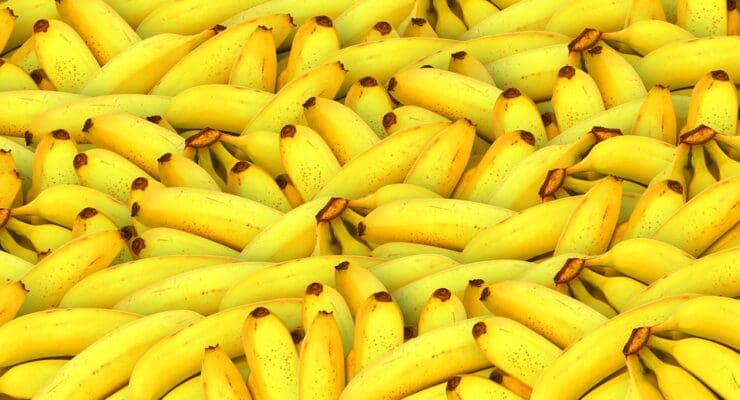 Free Bananas Fruits photo and picture