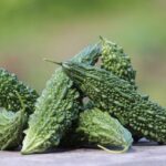 Free Bitter Gourd Vegetable photo and picture