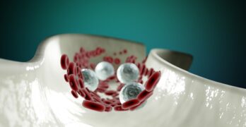 Free Blood Cells Blood photo and picture