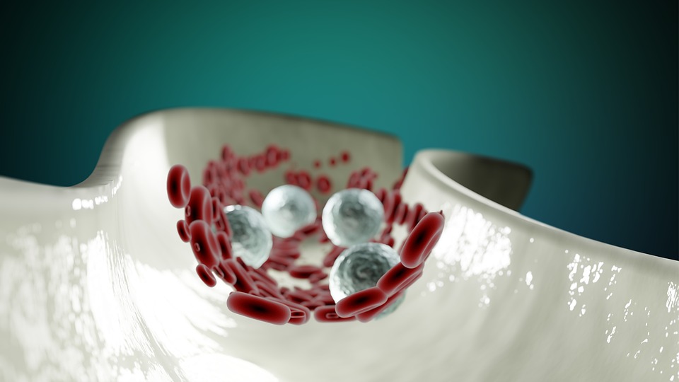 How to Reverse Endothelial Dysfunction