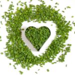 Free Chives Heart photo and picture