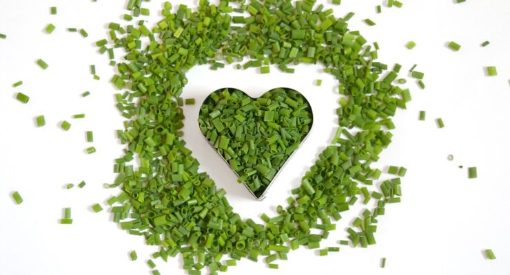 Free Chives Heart photo and picture