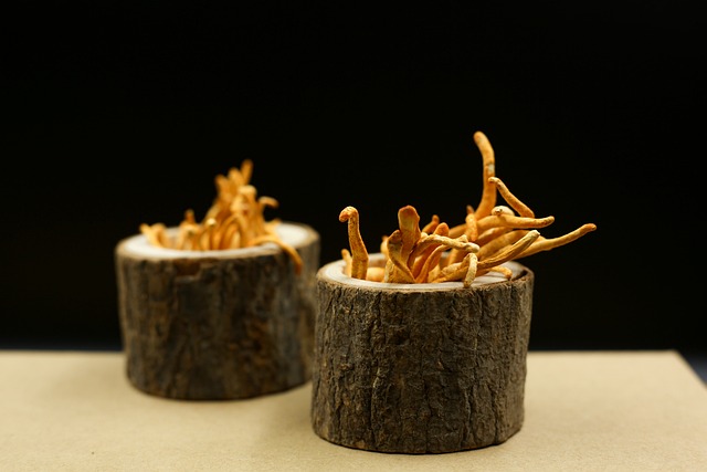 Cordyceps: Benefits, Similar Supplements, And Risks