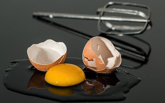 Free Egg Eggshell photo and picture