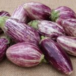 Free Eggplant Egg Fruit photo and picture