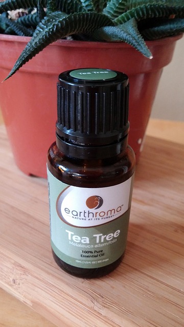 Tea Tree Oil Benefits And Potential Risks