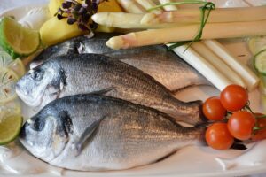 Free Fish Sea Bream photo and picture