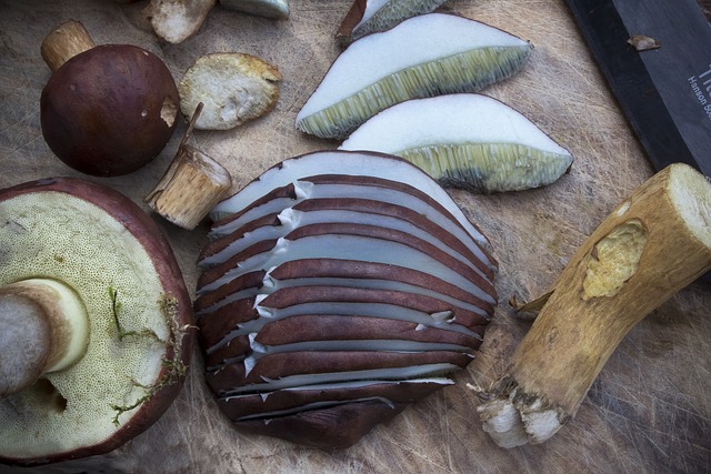 Top 11 Benefits Of Mushroom