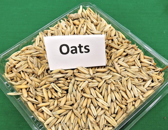 Oats Nutritional Pack