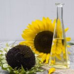 Free Oil Sunflower Oil photo and picture