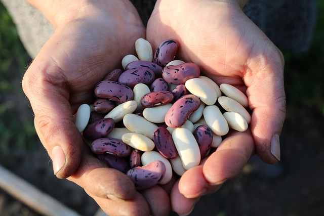 Top 15 Benefits Of Beans