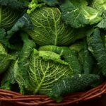 Free Savoy Cabbage Vegetables photo and picture