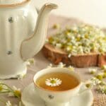 Free Tea Herbs photo and picture
