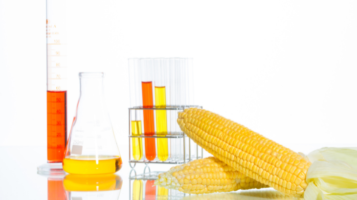 High Fructose Corn Syrup A Dangerous Ingredient