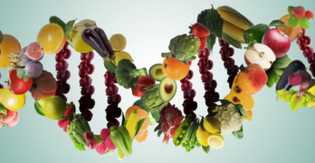 Nutrient Dense Food